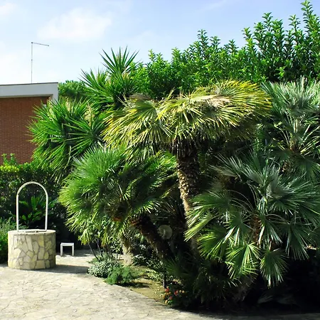 By Filomena Bed and Breakfast 3*